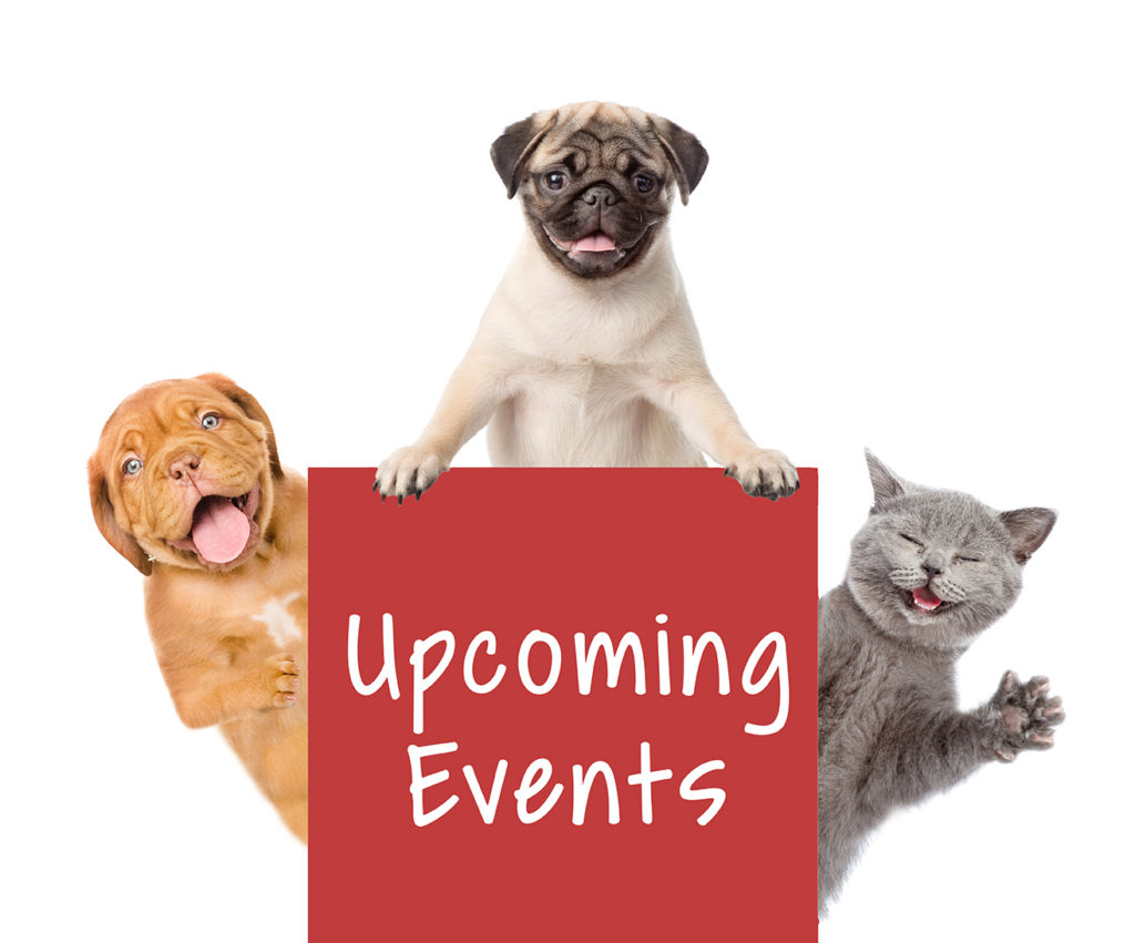 Upcoming events for News and Events page